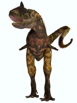 Carnotaurus front profile Stock Illustration