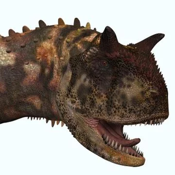 Carnotaurus head Stock Illustration