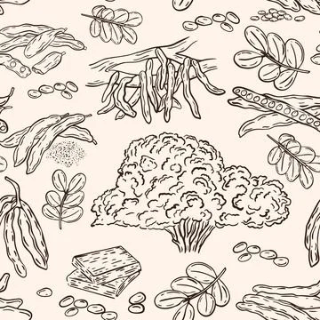 Carob seamless pattern, vector. Illustrazione stock