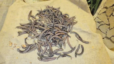 Carob in a table Видео 297590123