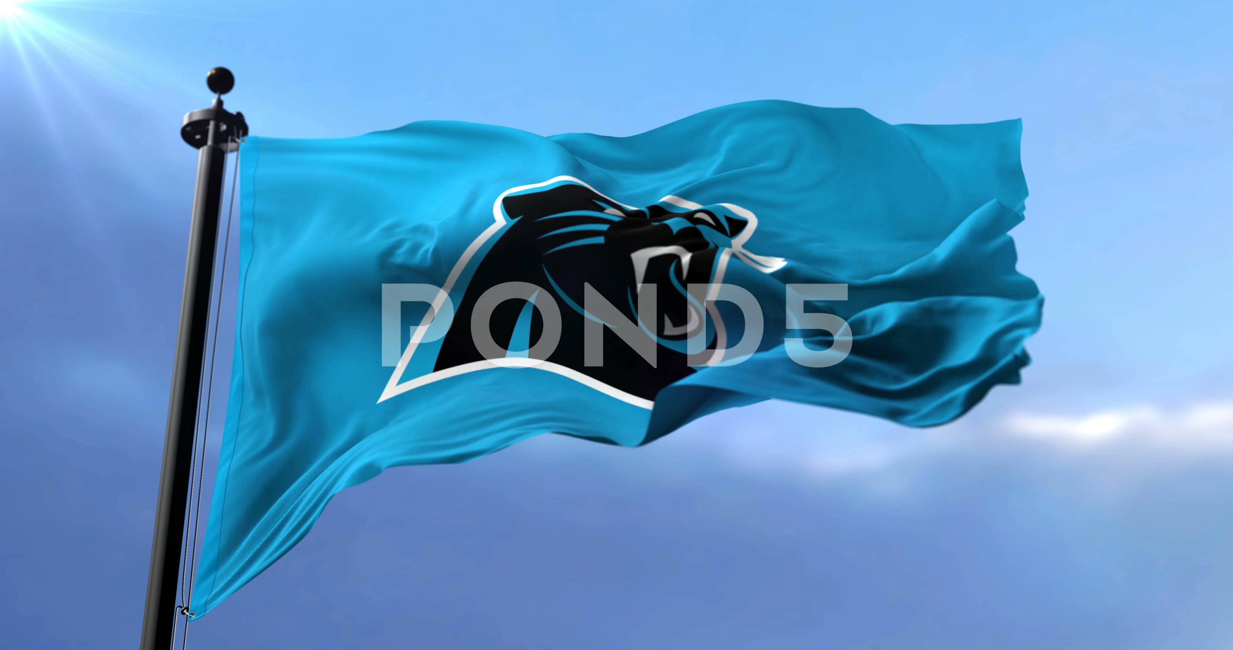 Carolina Panthers, American football team, creative American flag