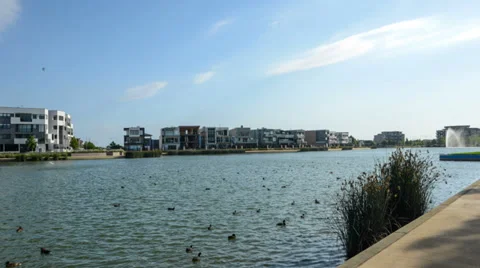 Caroline Spring lake Video stock 33712993