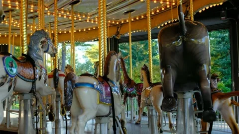 Carousel 01 Video stock 219594185