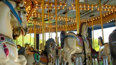 Carousel 2 Video stock 219594187