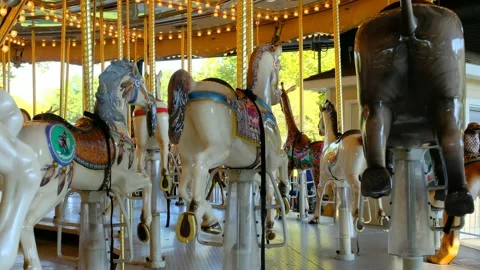 Carousel 3 Video stock 219594186