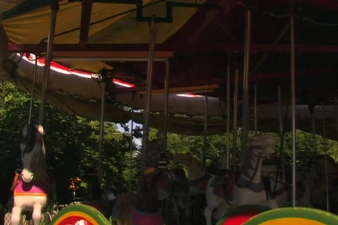 CAROUSEL Stock Footage 83996