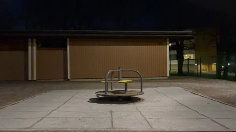 Carousel Video stock 167330366