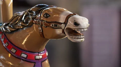 Carousel Horse Stock Footage 55909175