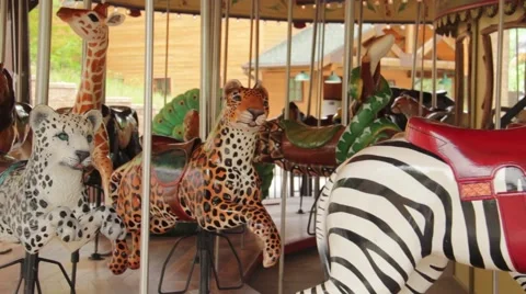 Carousel at the Zoo with sound Stock Footage 53619876