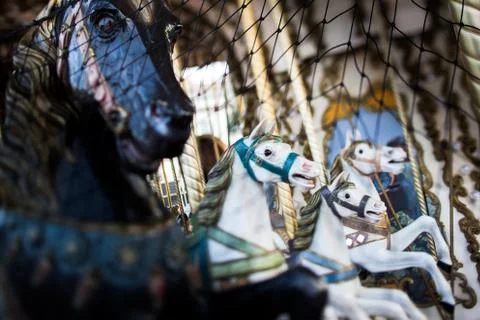 Carouselle horses Stock Photos