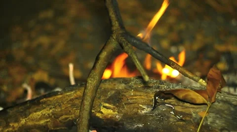 A carp and a camp fire (pan) Video stock 10559441