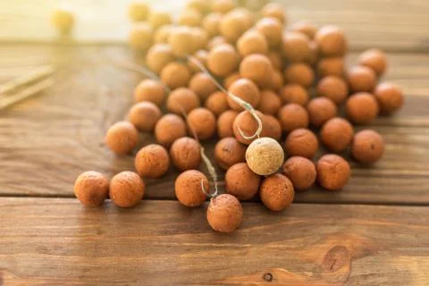 Carp baits on a wooden background. Stock Photos