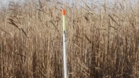 Carp close-up with a hook in the mouth on the background of lake reeds Vídeos de archivo 166659947