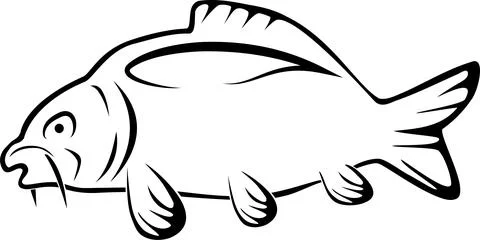 Carp drawing, carp, fish, logo, fishing, sport, icon, sticker label Stock Illustration