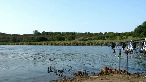 Carp fishing rods with carp bite indicators and reels set up on rod pod on a Video stock 161610326