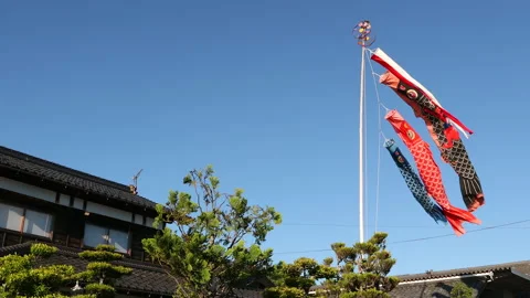 Carp flags blowing in wind Stock Footage 161889471