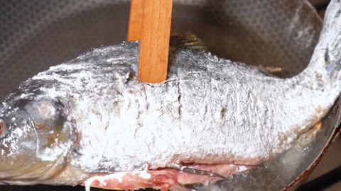 Carp fried in a frying pan Stock Footage 251877903