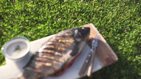 Carp has been roasted on the open fire Stock Footage 143591742