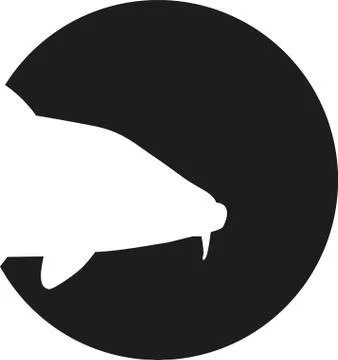 Carp head in front of black circle Stock Illustration