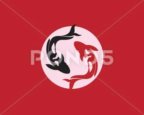 Carp koi design on white background. Animal. Fish Icon. Underwater. Easy edit Stock Illustration