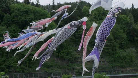 Carp or koi hanging over a Japanese river Stock Footage 274724895