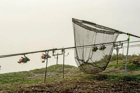 Carp rods lined up in a row on the stands with a pickup in the morning fog in Stock Photos