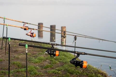 Carp rods lined up in a row on the stands with in anticipation of a bite of c Stock Photos