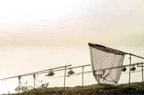 Carp rods lined up in a row on the stands with a pickup in the morning fog in Stock Photos