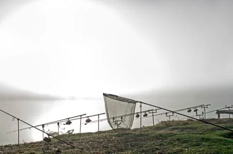 Carp rods lined up in a row on the stands with a pickup in the morning fog in Stock Photos