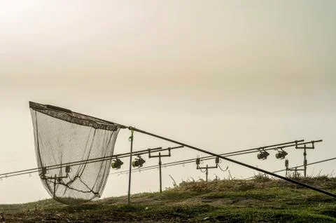 Carp rods lined up in a row on the stands with a pickup in the morning fog in Stock Photos