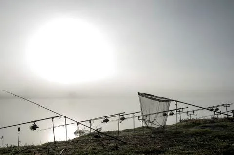 Carp rods lined up in a row on the stands with a pickup in the morning fog in Stock Photos