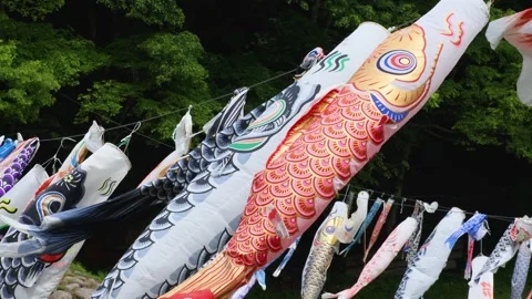 Carp streamers swaying in the wind Stock Footage 241089196