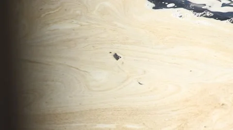 Carp Surfacing through Foam Stock Footage 52789616