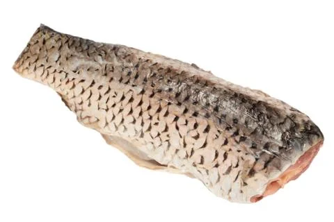 Carp on white background Stock Photos