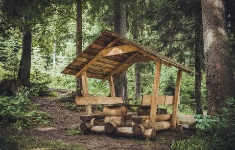 Carpathian forest in summer Stock Photos