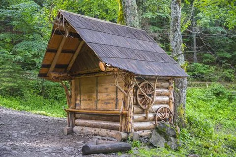 Carpathian forest in summer Stock Photos