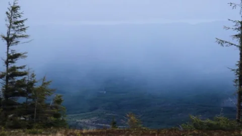 Carpathian landscape at evening Stock Footage 72790234