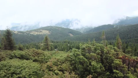 Carpathian landscape at evening Stock Footage 74509058