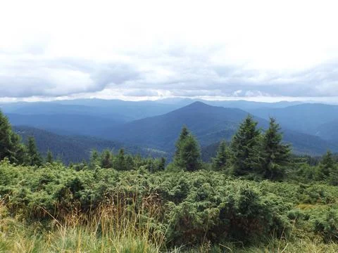 Carpathian Mountain Range Pine Trees Cloudy Sky Horizon Foto stock