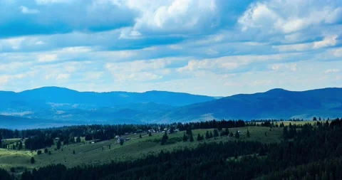 Carpathian mountaines Marisel, Flock of sheep Stock Footage 164034805