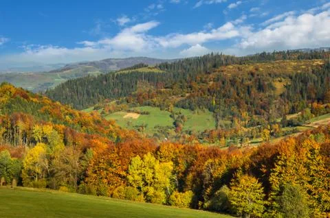 Carpathian mountains in autumn. Stock Photos