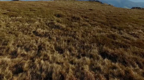 Carpathian Mountains Bird Flight Stock Footage 63346838