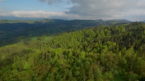 Carpathian Mountains Bird Flight Summer Stock Footage 63361817
