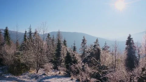 Carpathian mountains in the clouds on a winter Stock Footage 228169101
