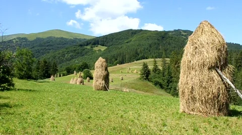 Carpathian Mountains Stock Footage 737855