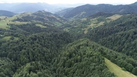 Carpathian mountains Stock Footage