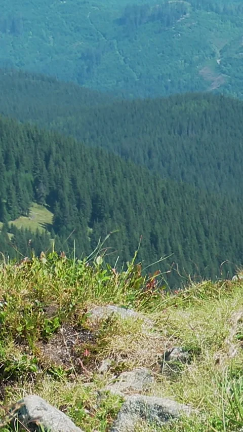 Carpathian mountains Stock Footage 346227766