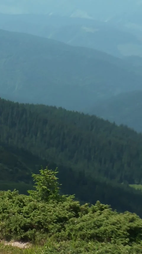 Carpathian mountains Stock Footage 346227768