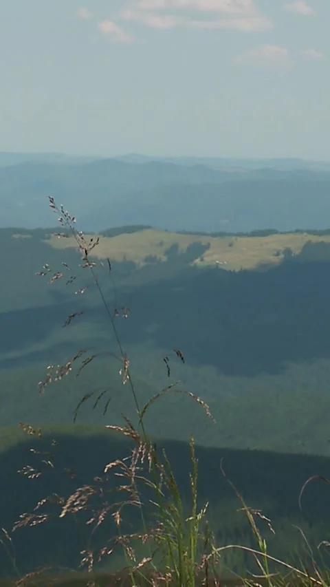 Carpathian mountains Stock Footage 346227813