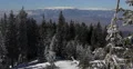 Carpathian Mountains Frozen Frost Fir Trees Snow Covered Fairy Tale Xmas Holiday 4k or 4k+ Resolution